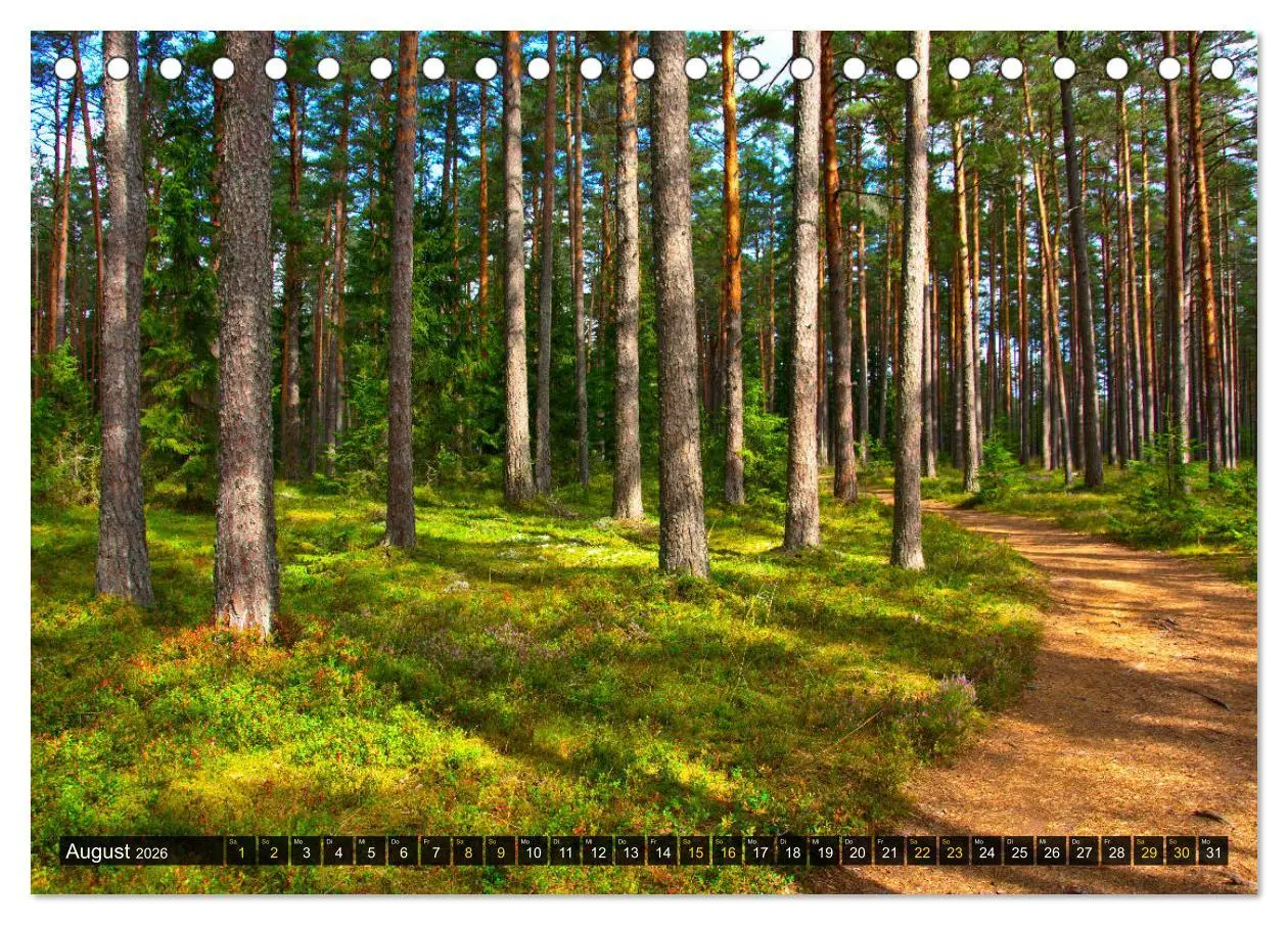 Bild: 9783457770986 | Bezauberndes Estland (Tischkalender 2026 DIN A5 quer), CALVENDO...