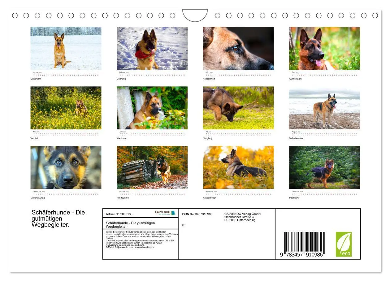 Bild: 9783457910986 | Schäferhunde - Die gutmütigen Wegbegleiter. (Wandkalender 2026 DIN...