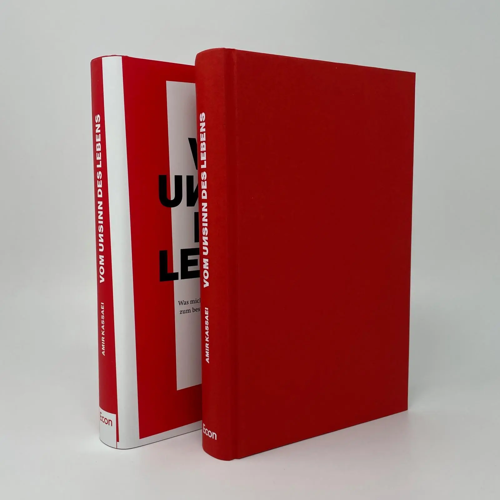 Bild: 9783430211086 | Vom Unsinn des Lebens | Amir Kassaei | Buch | 336 S. | Deutsch | 2024