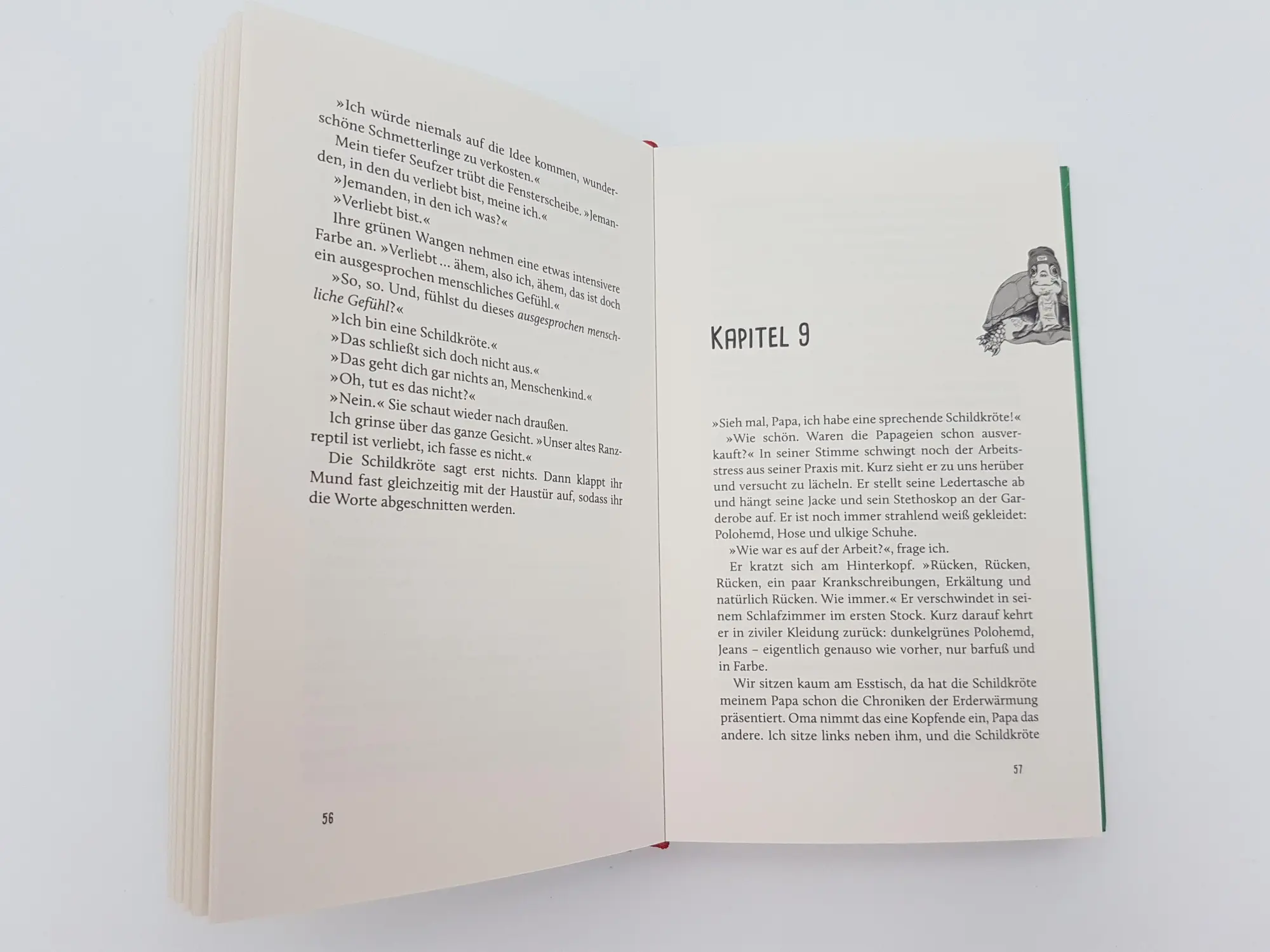 Bild: 9783492071086 | Was Schildkröten im Schilde führen | Roman | Maria Keim | Buch | 2021