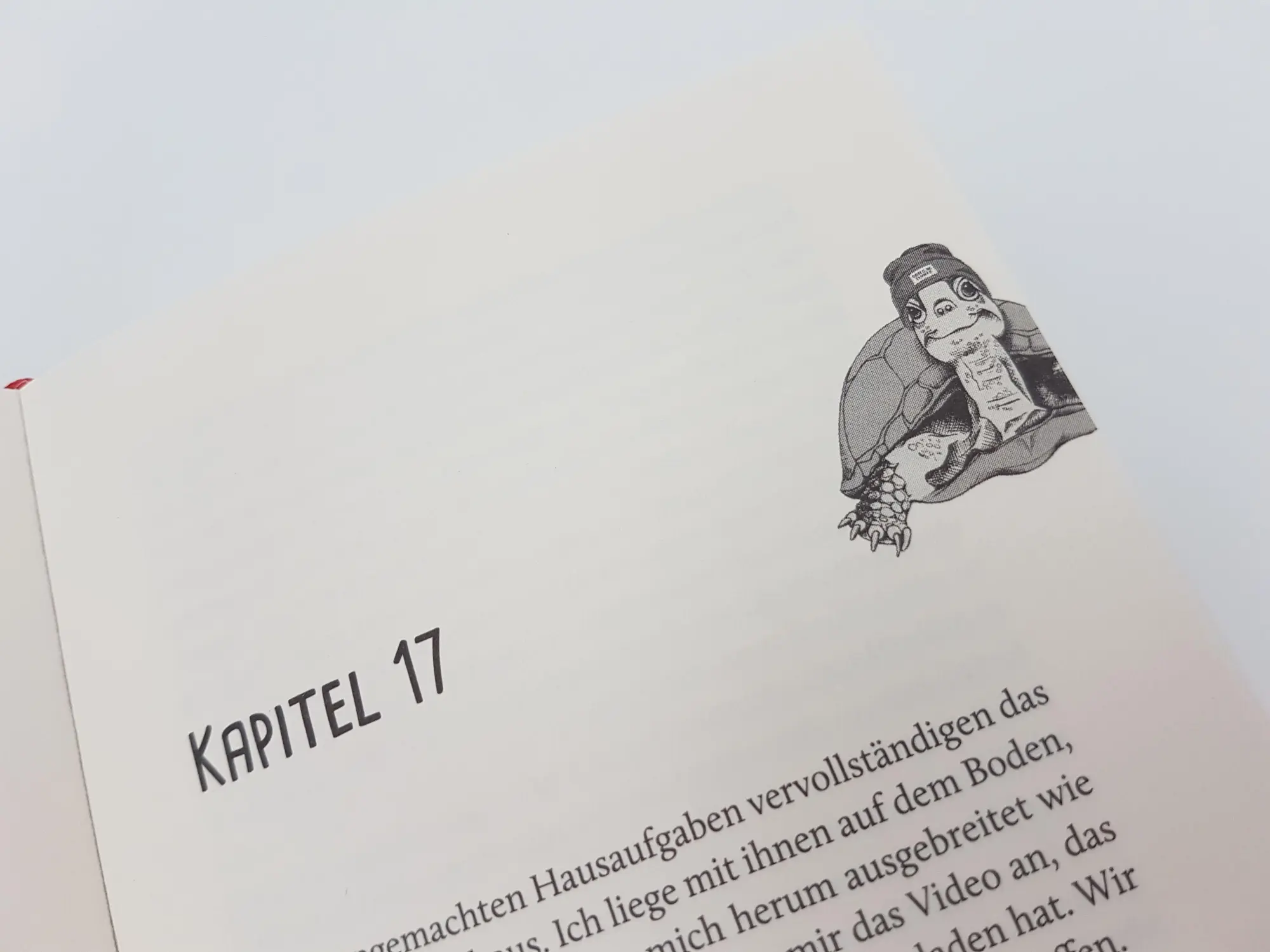 Bild: 9783492071086 | Was Schildkröten im Schilde führen | Roman | Maria Keim | Buch | 2021