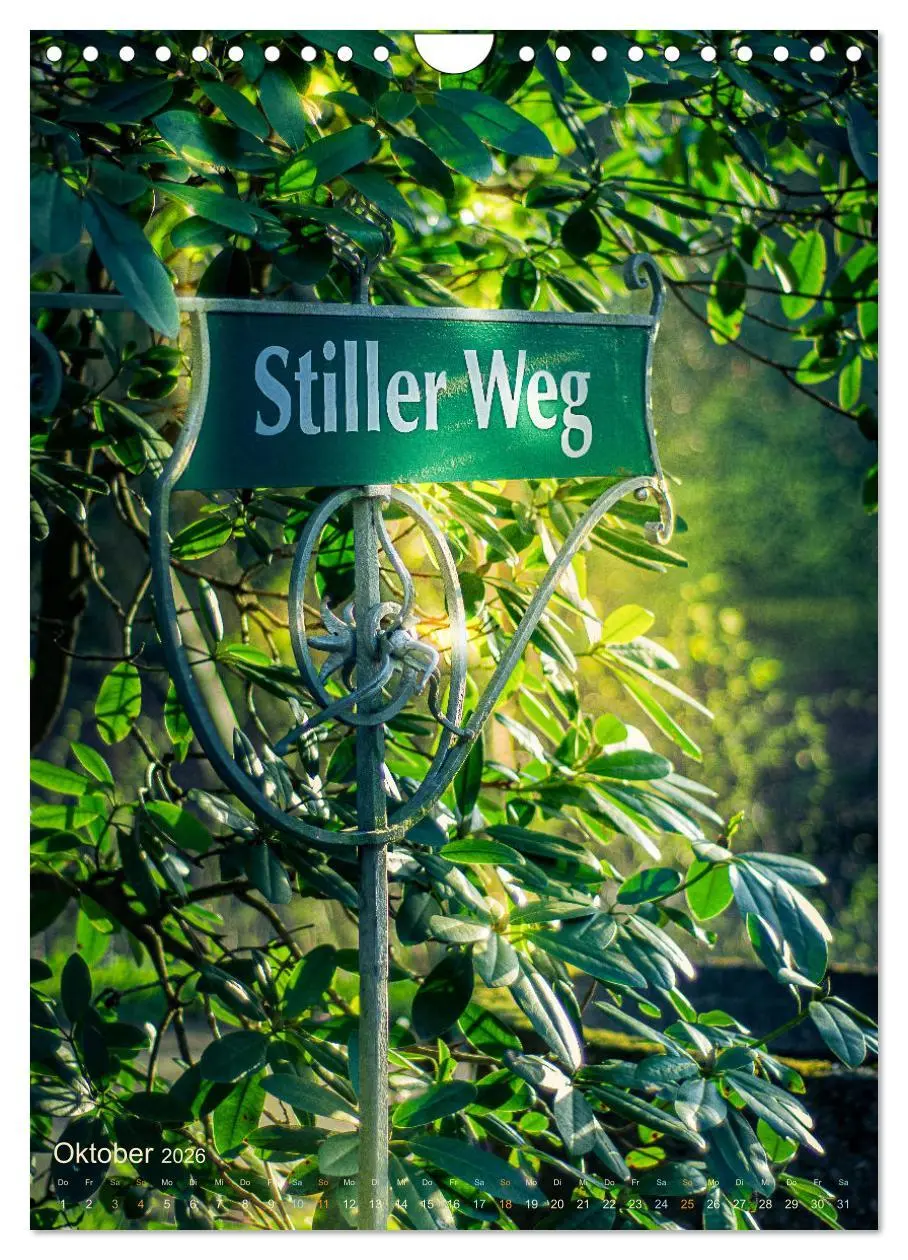 Bild: 9783516371086 | Die stillen Momente im Ohlsdorfer Friedhof (Wandkalender 2026 DIN...