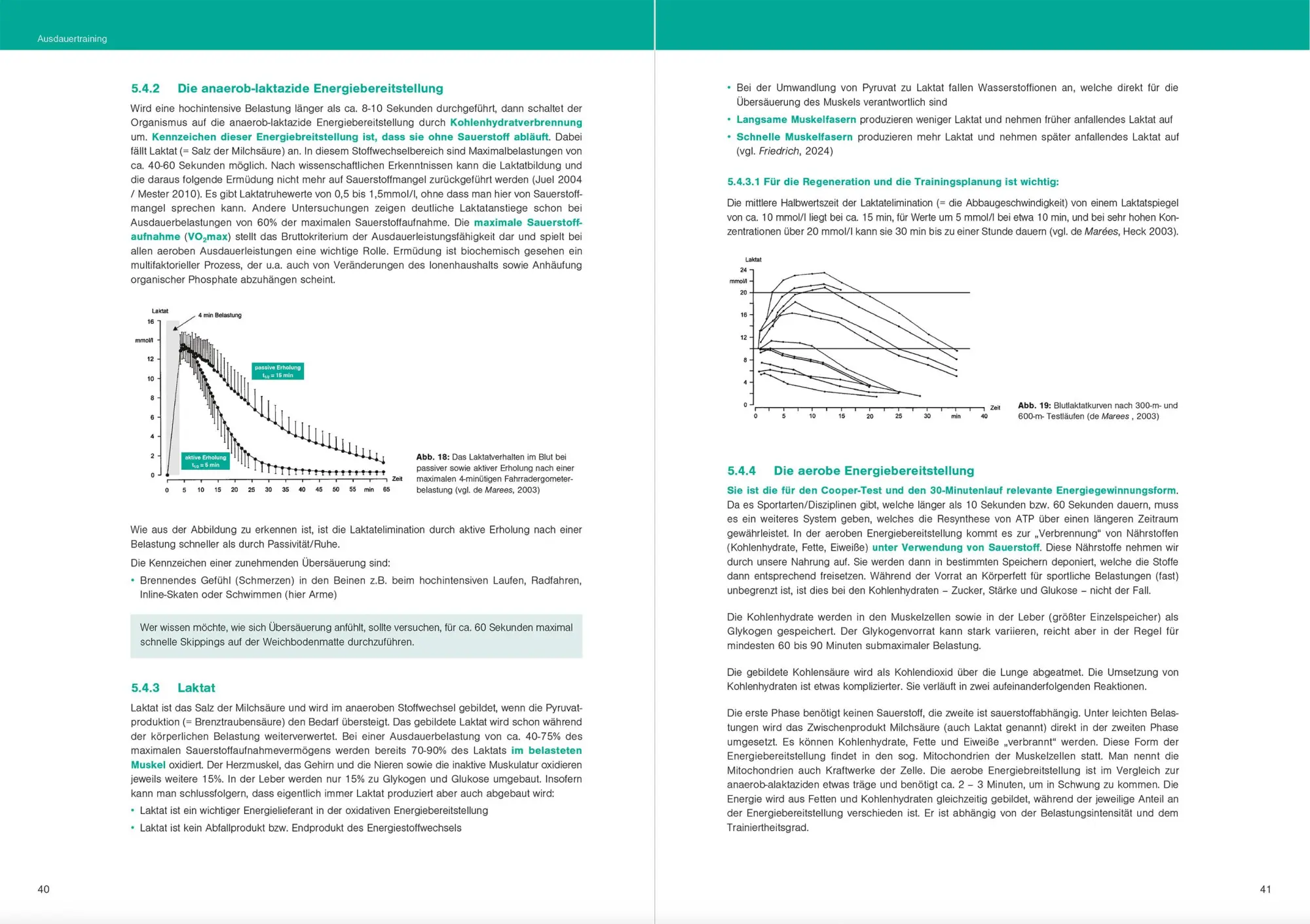 Bild: 9783964161086 | Optimales Basiswissen Sport | Wolfgang Friedrich | Taschenbuch | 2025