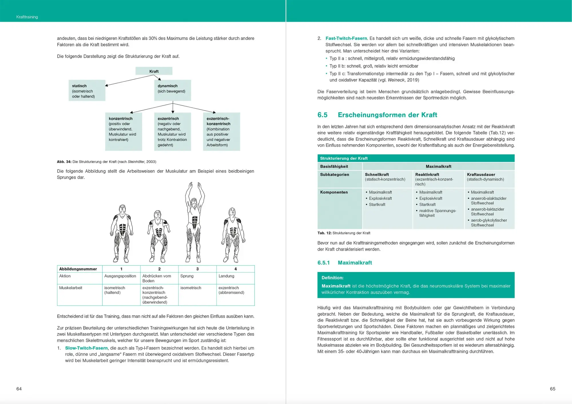 Bild: 9783964161086 | Optimales Basiswissen Sport | Wolfgang Friedrich | Taschenbuch | 2025