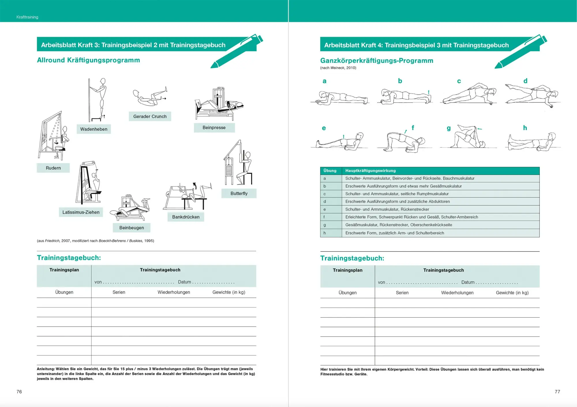 Bild: 9783964161086 | Optimales Basiswissen Sport | Wolfgang Friedrich | Taschenbuch | 2025