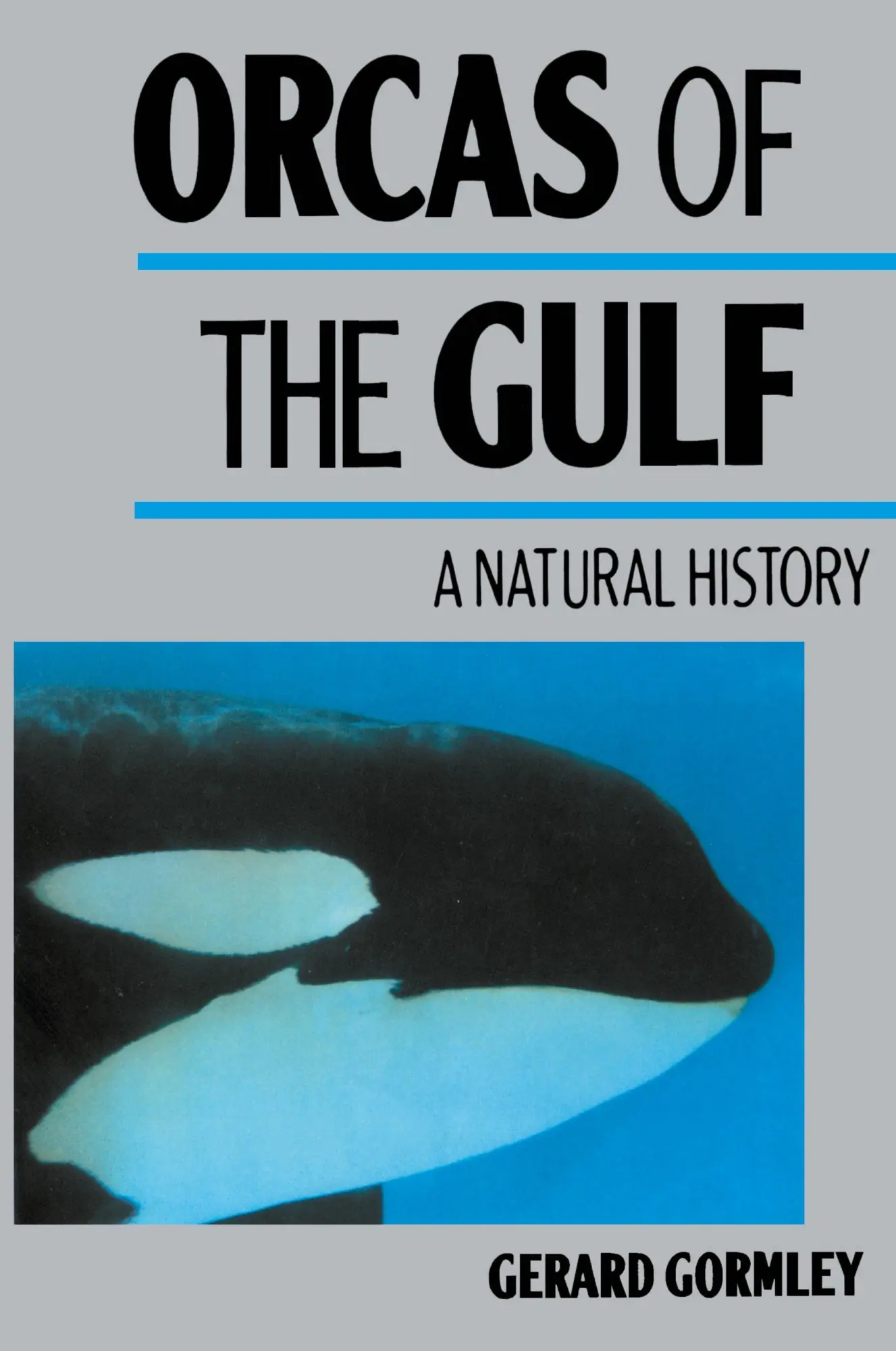 Cover: 9780595011186 | Orcas of the Gulf | A Natural History | Gerard Gormley | Taschenbuch