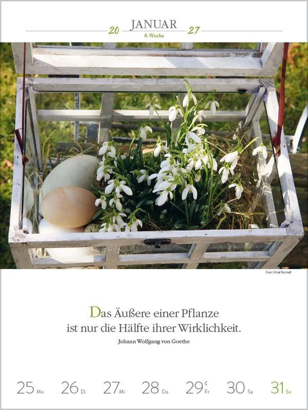 Bild: 9783819301186 | Literaturkalender Gartenlust 2027 | Korsch Verlag | Kalender | 54 S.