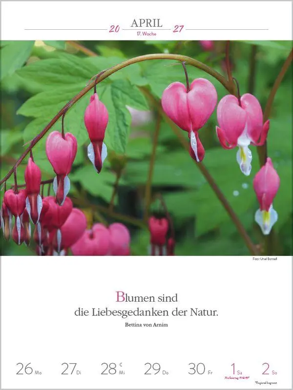 Bild: 9783819301186 | Literaturkalender Gartenlust 2027 | Korsch Verlag | Kalender | 54 S.