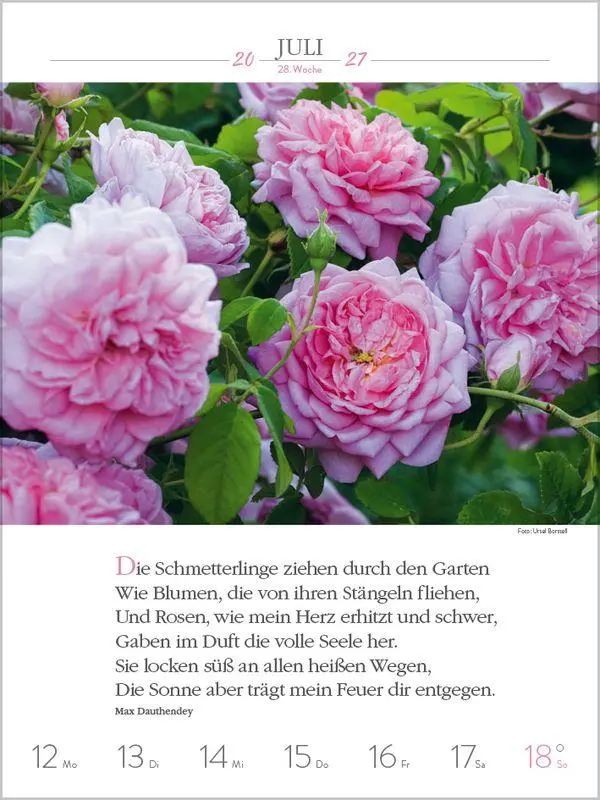 Bild: 9783819301186 | Literaturkalender Gartenlust 2027 | Korsch Verlag | Kalender | 54 S.