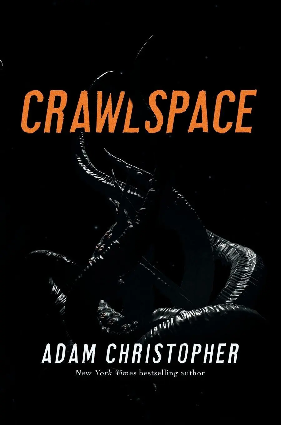 Cover: 9781250381286 | Crawlspace | Adam Christopher | Taschenbuch | Paperback | Englisch