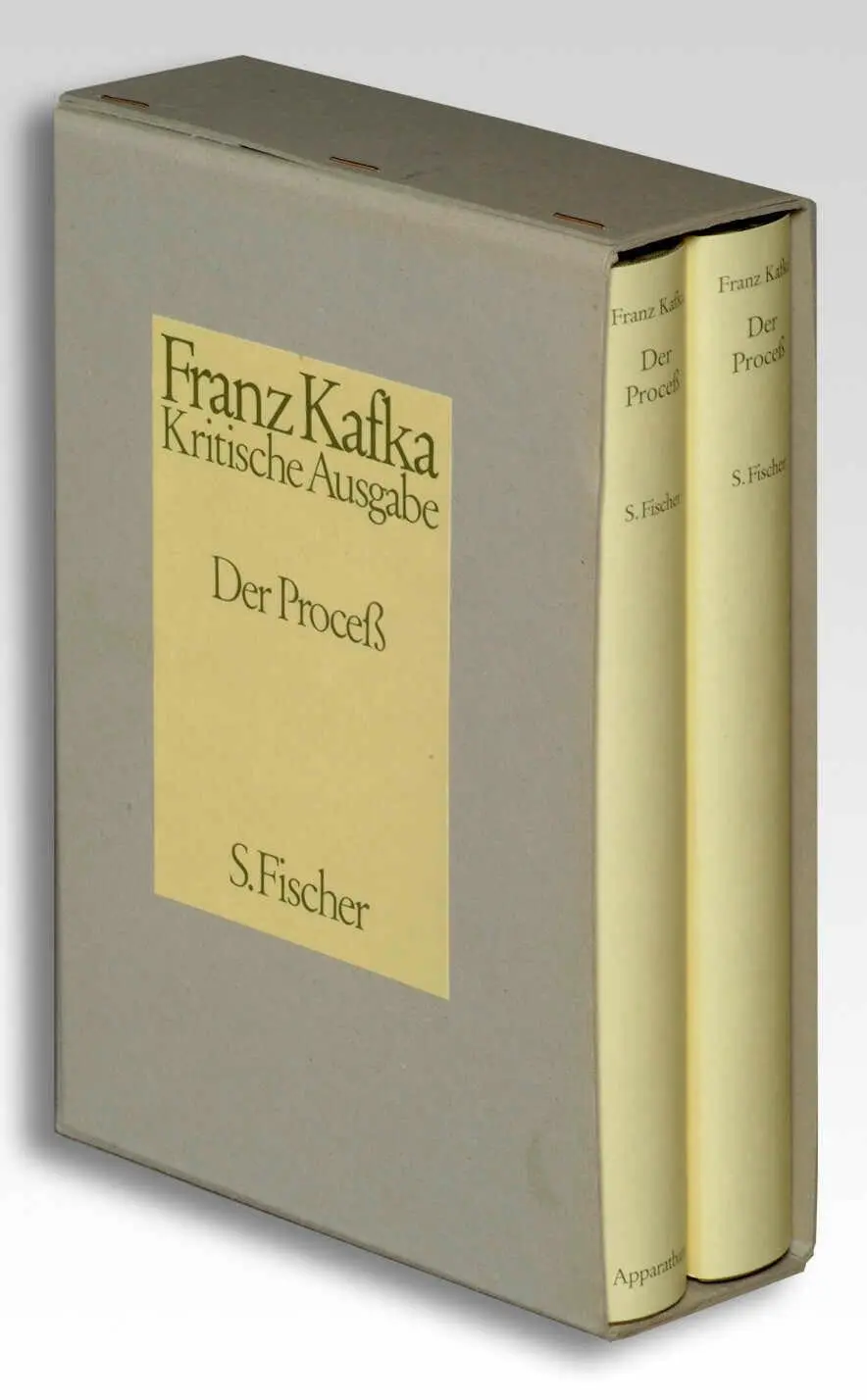 Cover: 9783100381286 | Der Proceß ( Prozess). Kritische Ausgabe | Franz Kafka | Buch | 710 S.