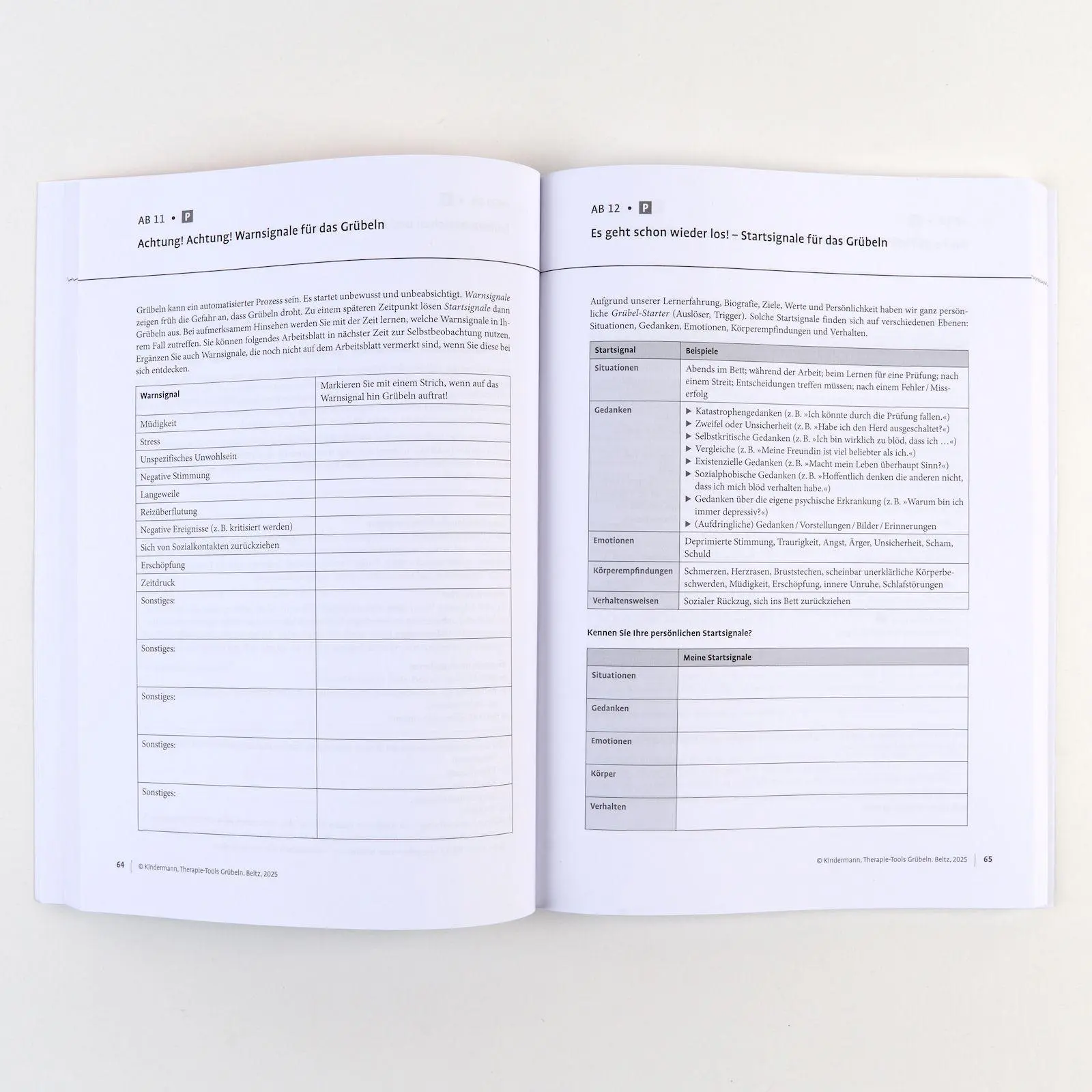 Bild: 9783621291286 | Therapie-Tools Grübeln | Mit E-Book inside und Arbeitsmaterial | 2025