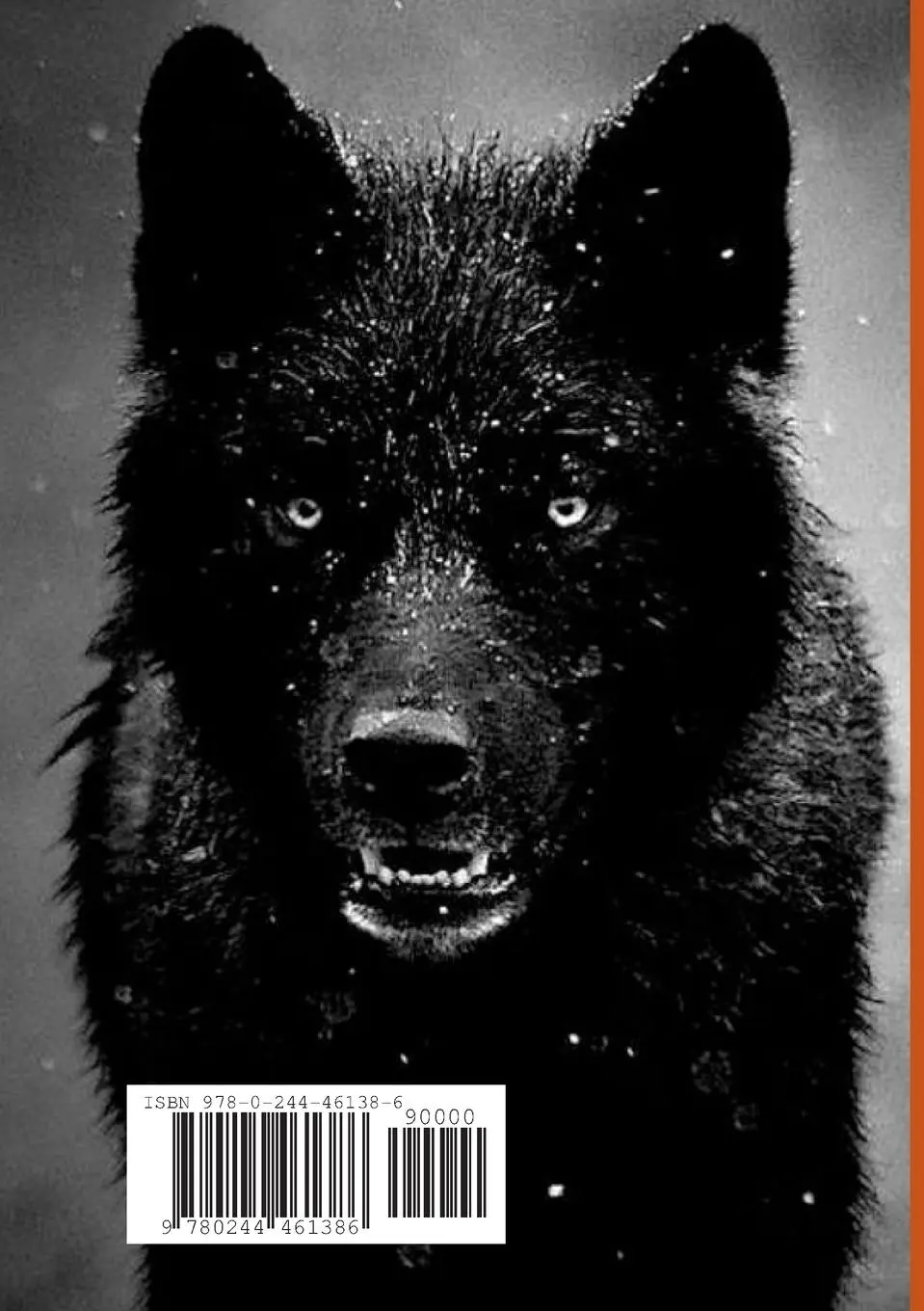Rückseite: 9780244461386 | The Plantagenet Saga | Wolf Hall Maiden Edition | M. T. Boulton | Buch