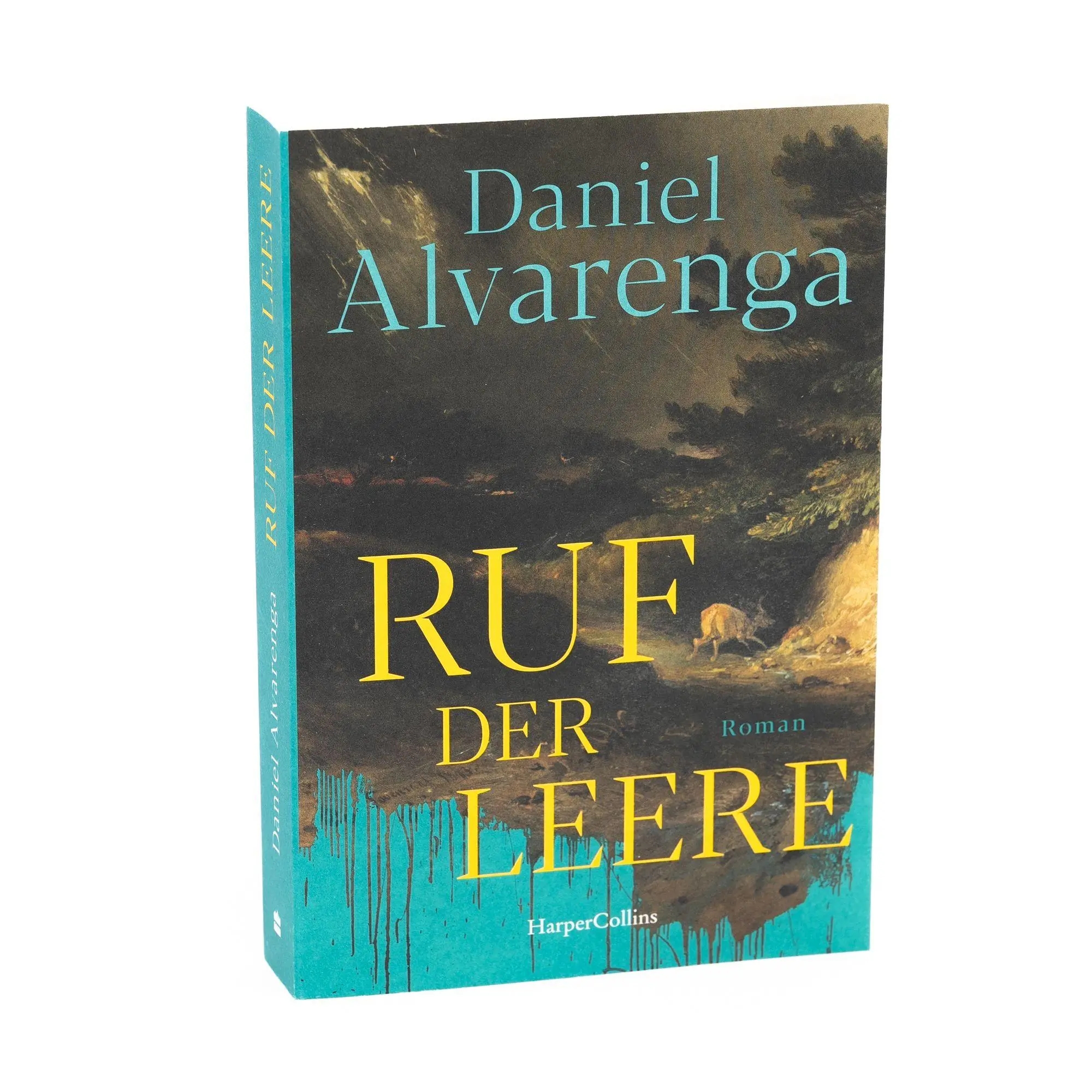 Bild: 9783365011386 | Ruf der Leere | Daniel Alvarenga | Taschenbuch | 384 S. | Deutsch