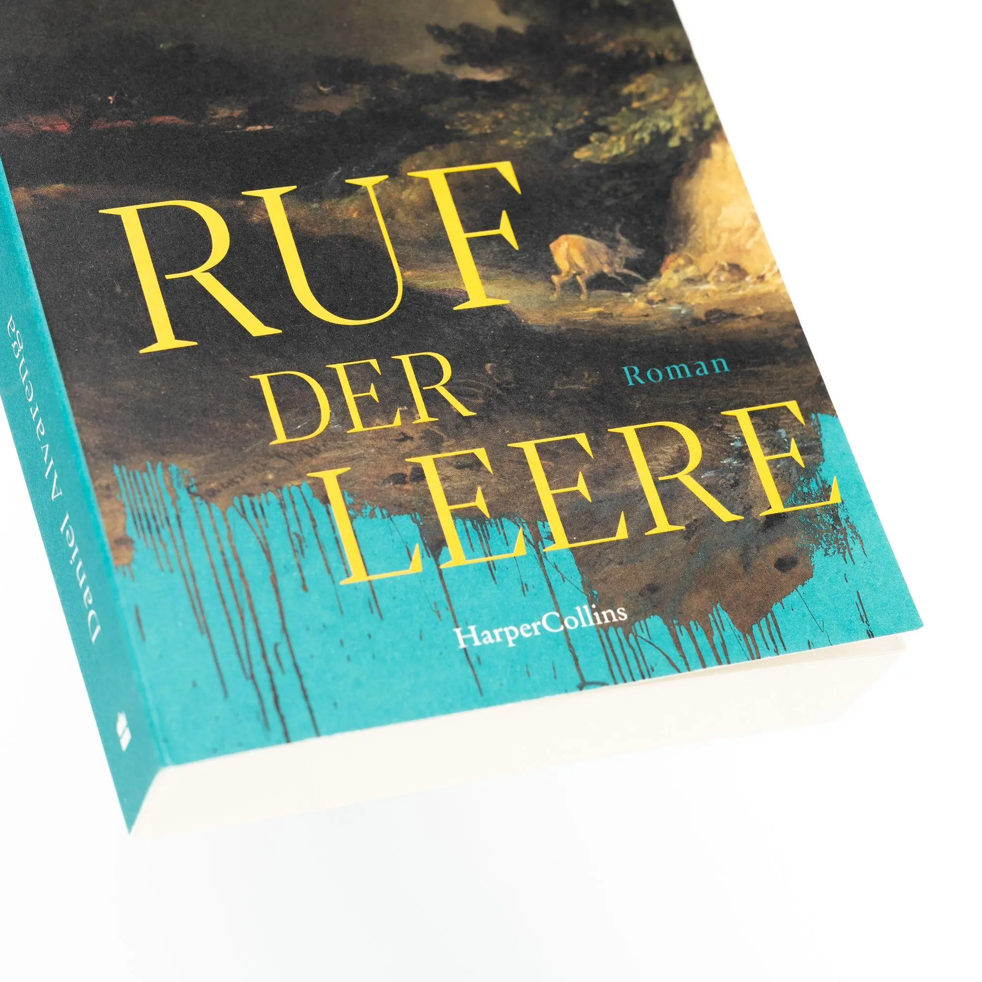 Bild: 9783365011386 | Ruf der Leere | Daniel Alvarenga | Taschenbuch | 384 S. | Deutsch