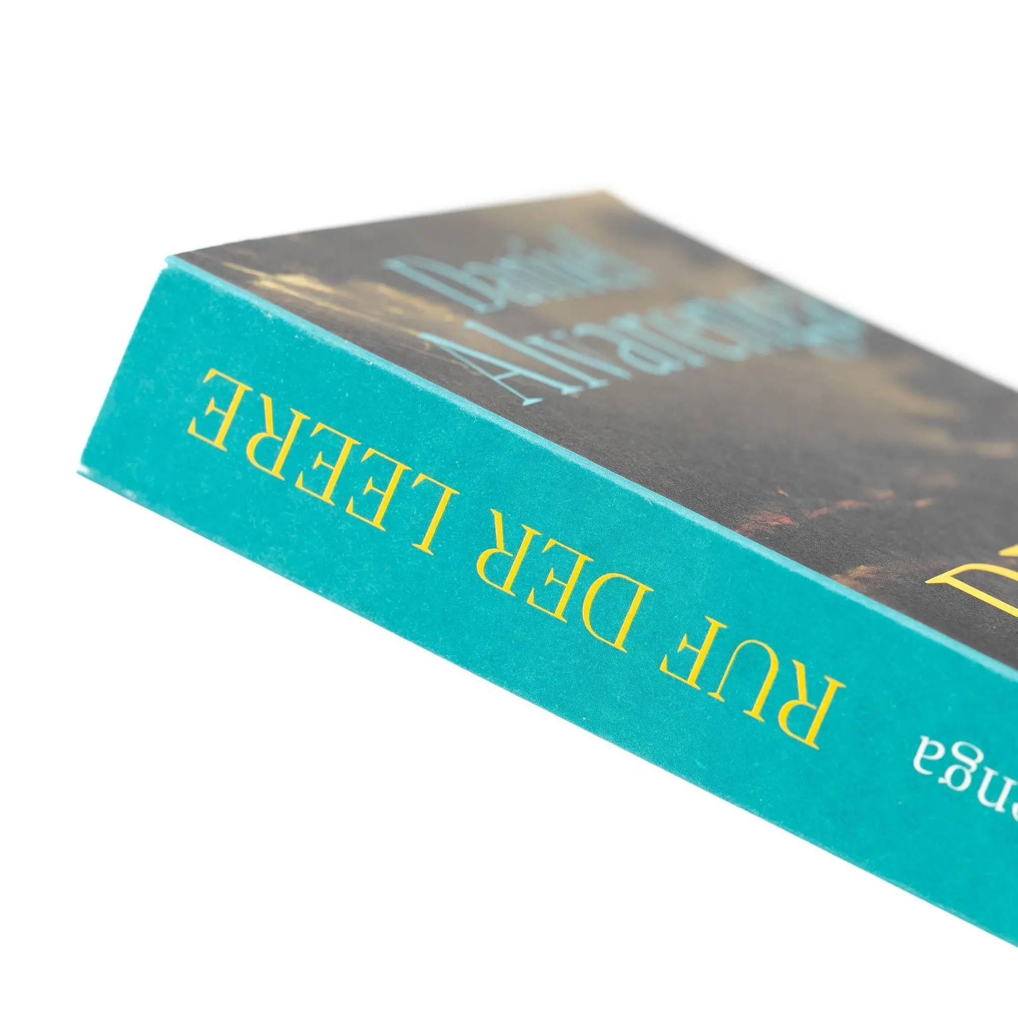 Bild: 9783365011386 | Ruf der Leere | Daniel Alvarenga | Taschenbuch | 384 S. | Deutsch