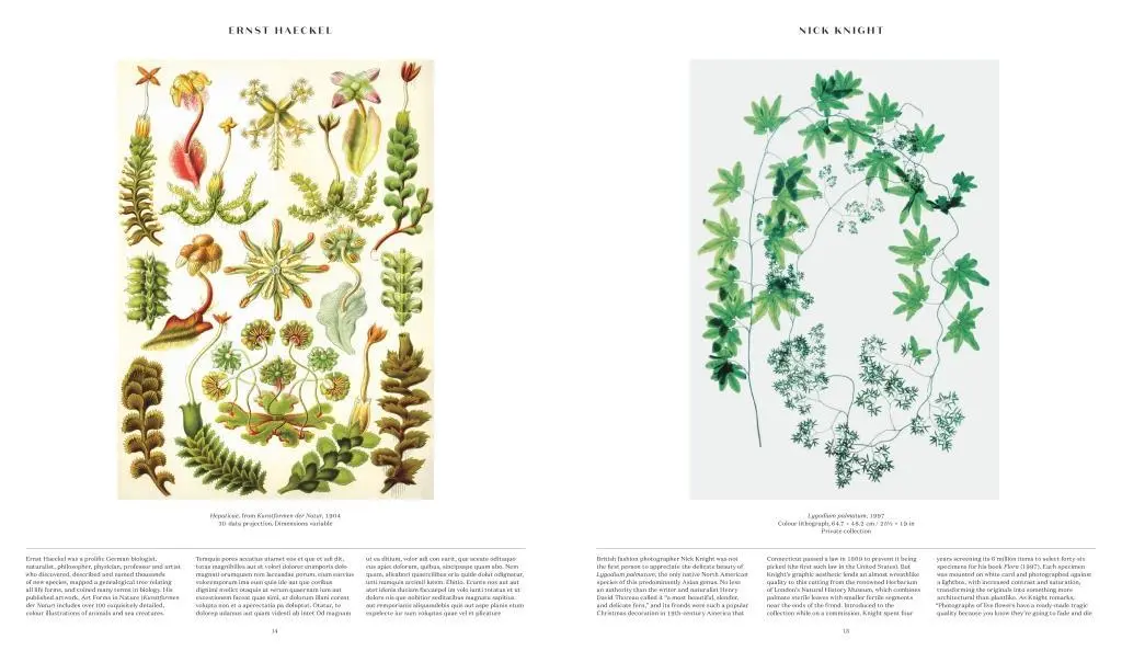 Bild: 9780714871486 | Plant: Exploring the Botanical World | Phaidon Editors | Buch | 352 S.
