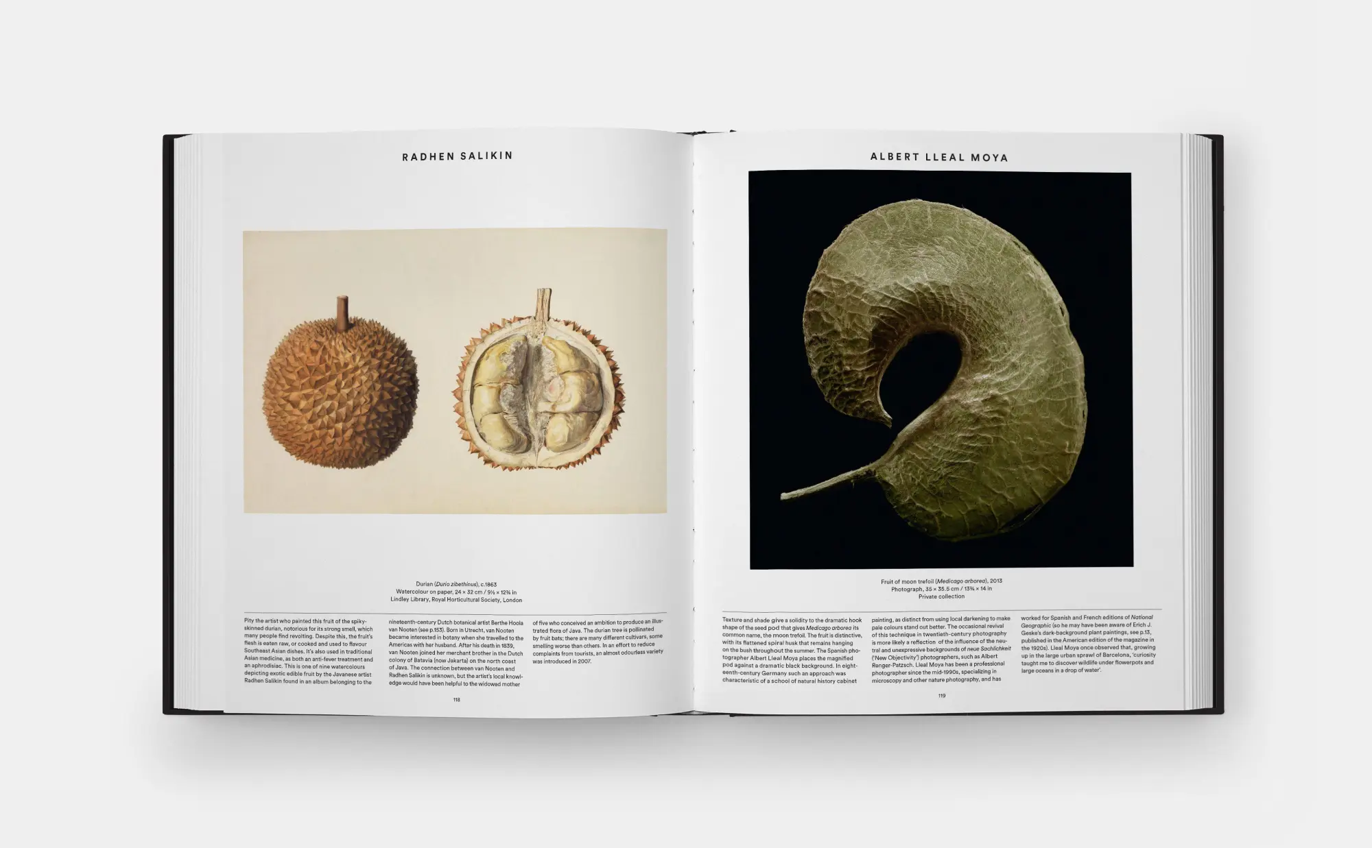 Bild: 9780714871486 | Plant: Exploring the Botanical World | Phaidon Editors | Buch | 352 S.