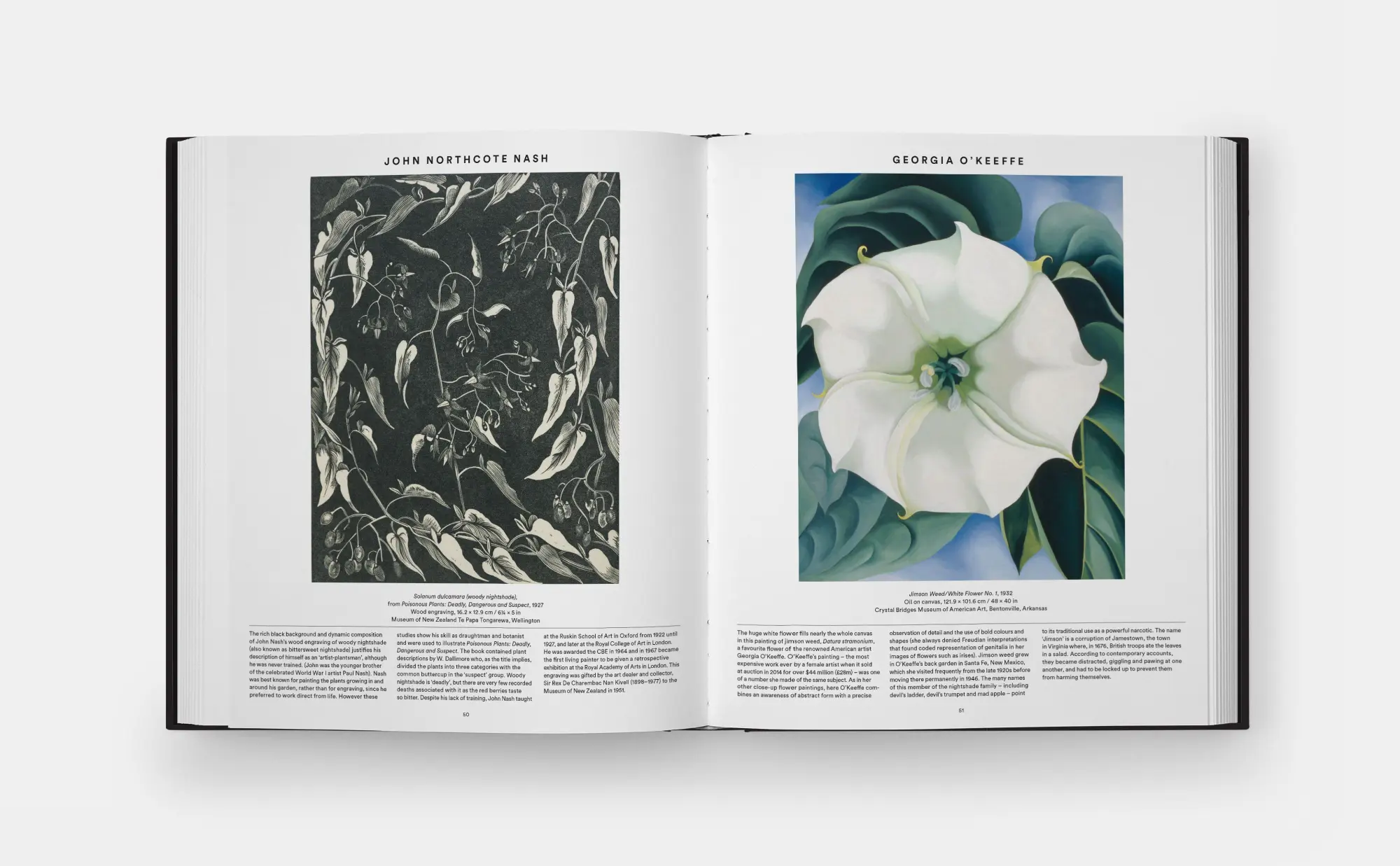 Bild: 9780714871486 | Plant: Exploring the Botanical World | Phaidon Editors | Buch | 352 S.