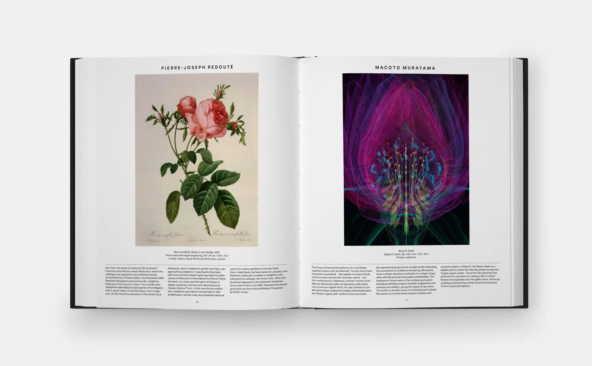 Bild: 9780714871486 | Plant: Exploring the Botanical World | Phaidon Editors | Buch | 352 S.