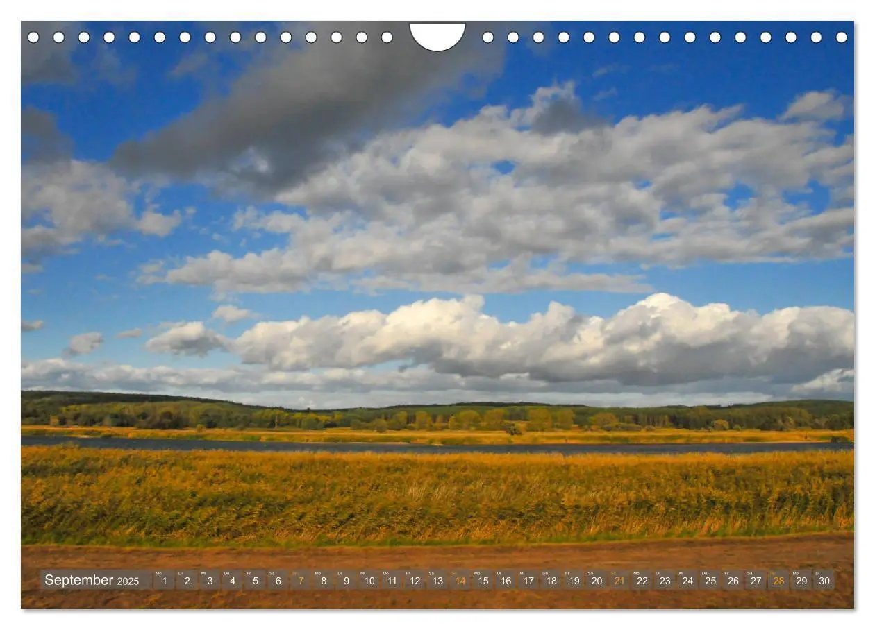 Bild: 9783435221486 | Im Oderbruch (Wandkalender 2025 DIN A4 quer), CALVENDO Monatskalender