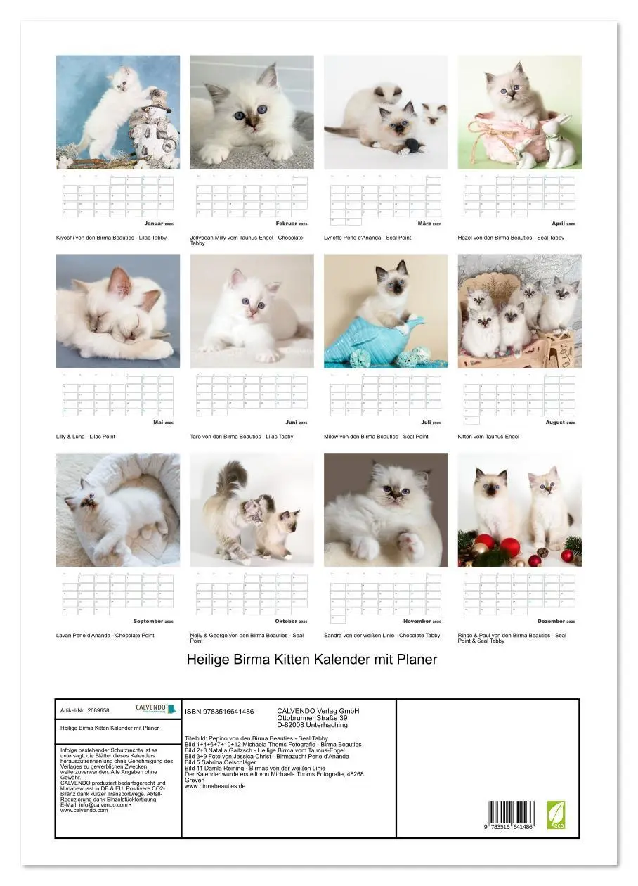 Bild: 9783516641486 | Heilige Birma Kitten Kalender mit Planer (Wandkalender 2026 DIN A2...