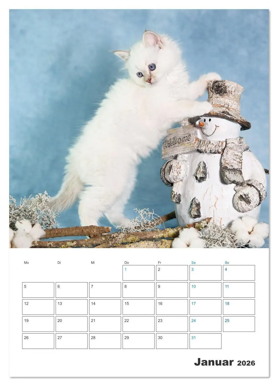 Bild: 9783516641486 | Heilige Birma Kitten Kalender mit Planer (Wandkalender 2026 DIN A2...