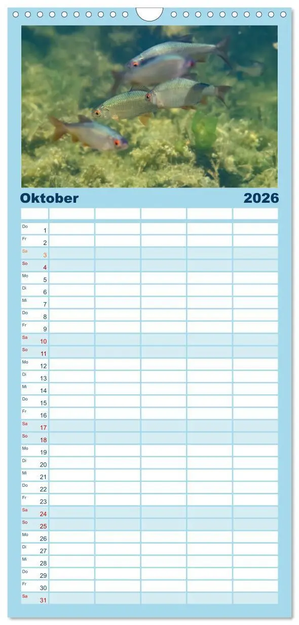 Bild: 9783516491586 | Familienplaner 2026 - Faszination Fische mit 5 Spalten...