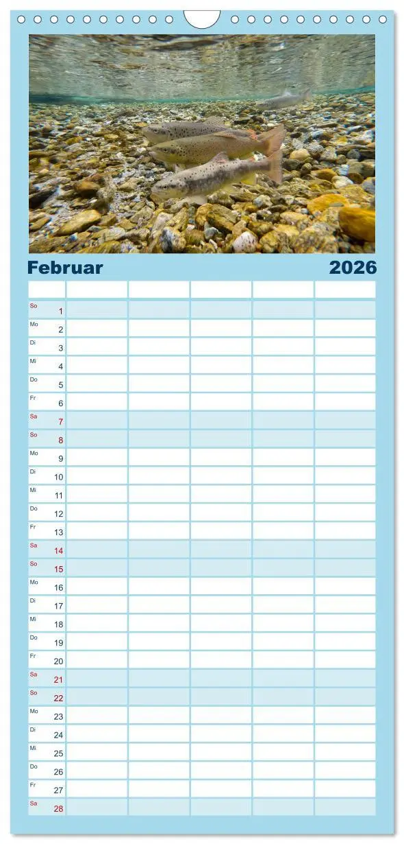 Bild: 9783516491586 | Familienplaner 2026 - Faszination Fische mit 5 Spalten...
