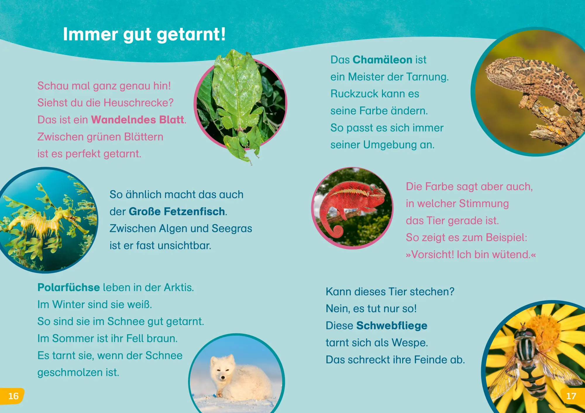 Bild: 9783788681586 | WAS IST WAS Erstes Lesen easy! Echt schlaue Tiere | Sonja Meierjürgen
