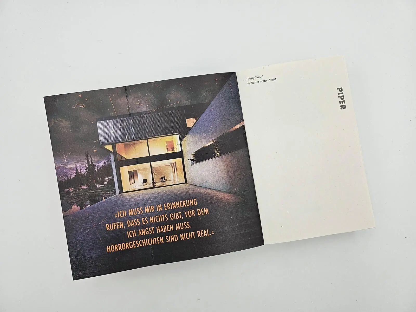 Bild: 9783492321686 | Er kennt deine Angst | Emily Freud | Taschenbuch | 432 S. | Deutsch