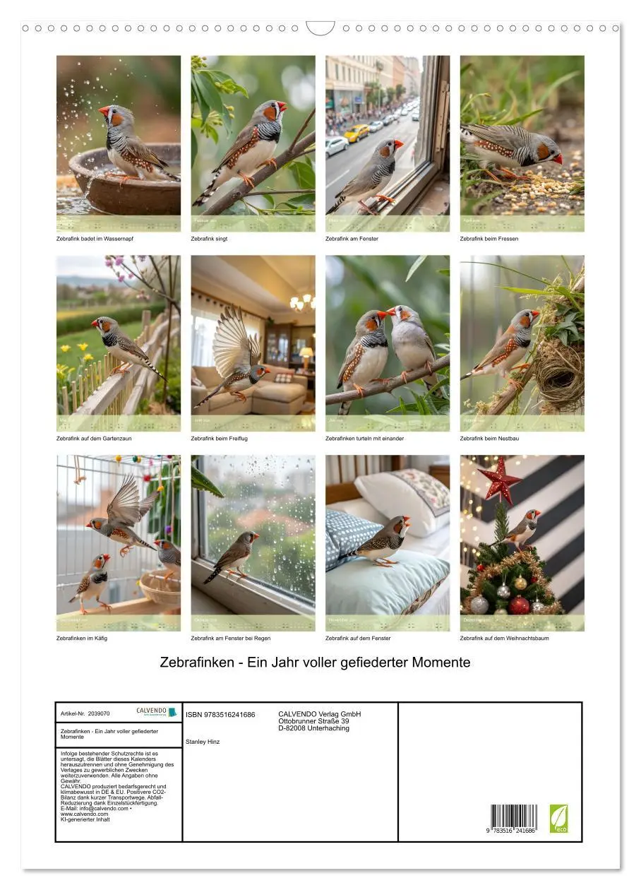 Bild: 9783516241686 | Zebrafinken - Ein Jahr voller gefiederter Momente (Wandkalender...