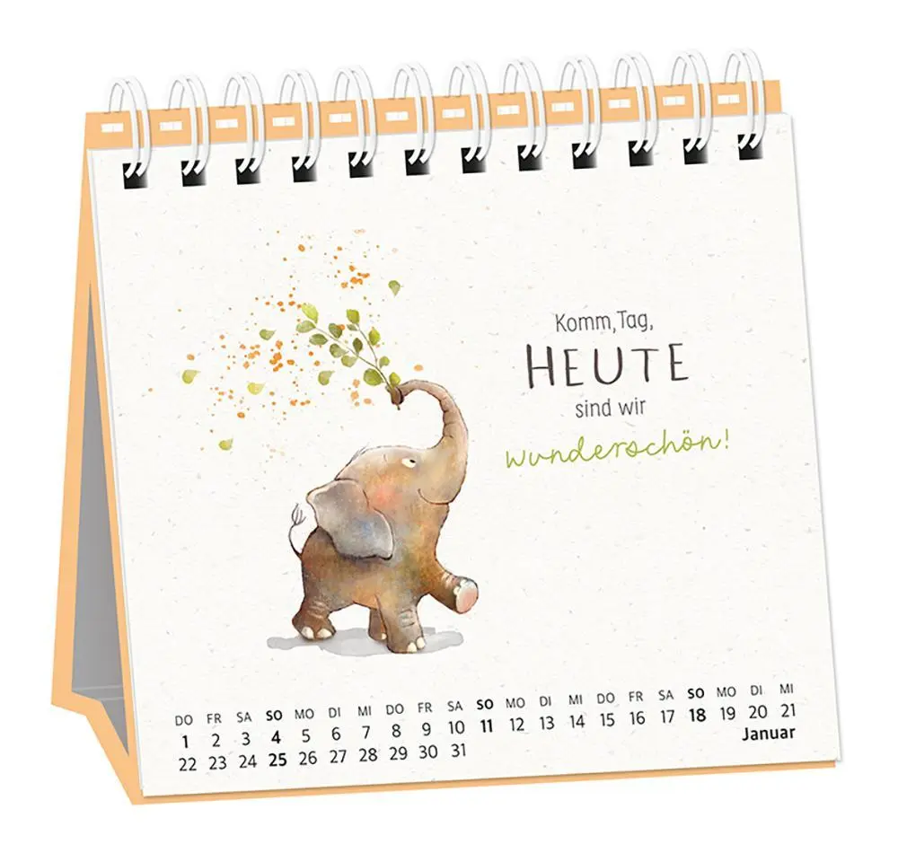 Bild: 9783986361686 | Tischkalender 2026 Heute. Hier. Jetzt | Tischkalender | Original