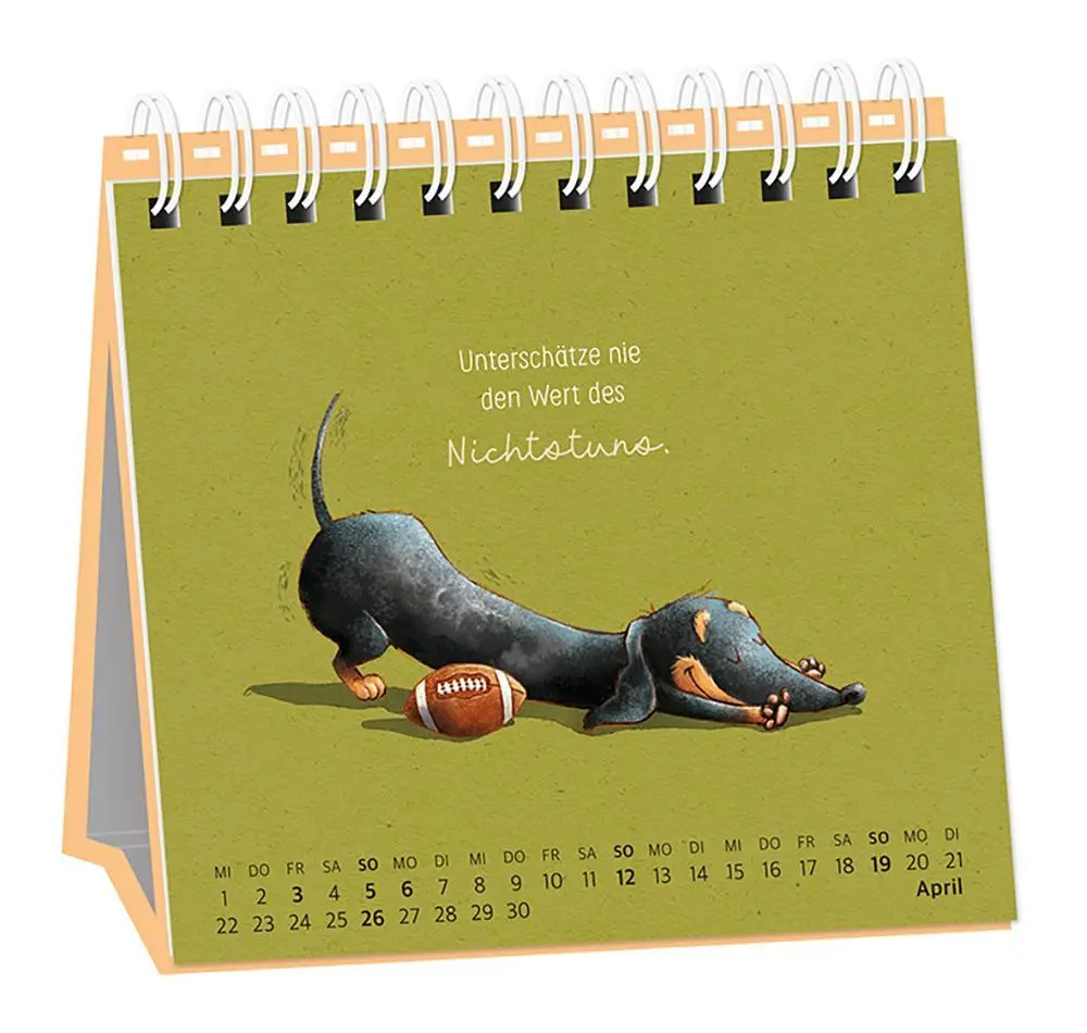 Bild: 9783986361686 | Tischkalender 2026 Heute. Hier. Jetzt | Tischkalender | Original