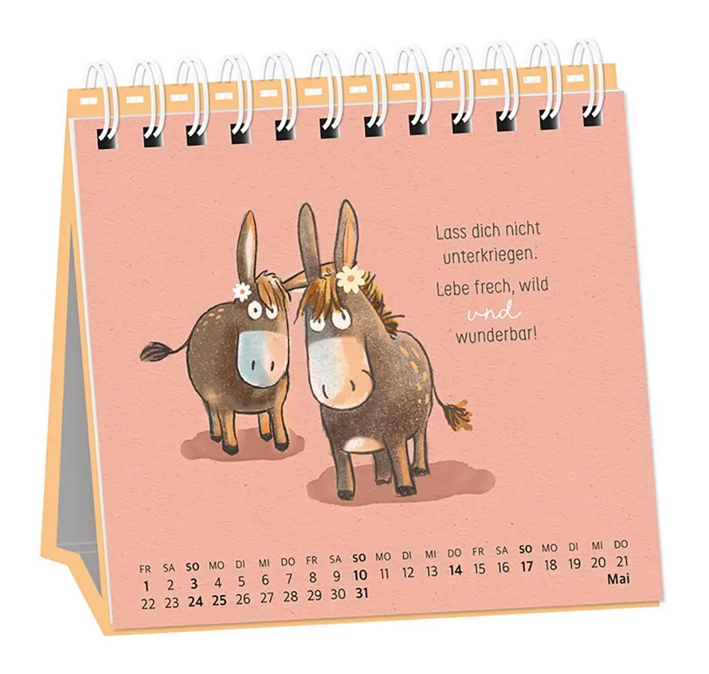 Bild: 9783986361686 | Tischkalender 2026 Heute. Hier. Jetzt | Tischkalender | Original