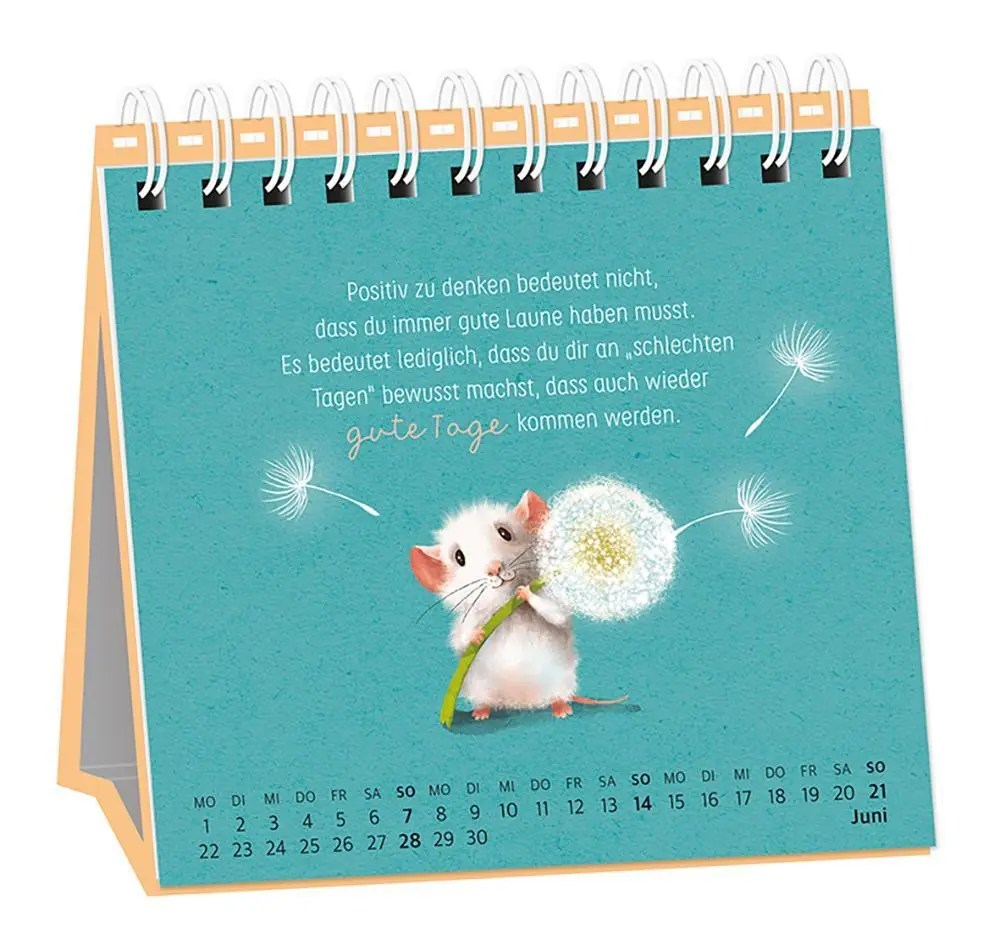 Bild: 9783986361686 | Tischkalender 2026 Heute. Hier. Jetzt | Tischkalender | Original