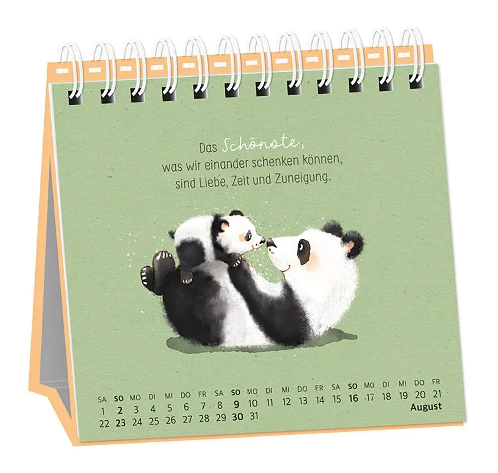 Bild: 9783986361686 | Tischkalender 2026 Heute. Hier. Jetzt | Tischkalender | Original