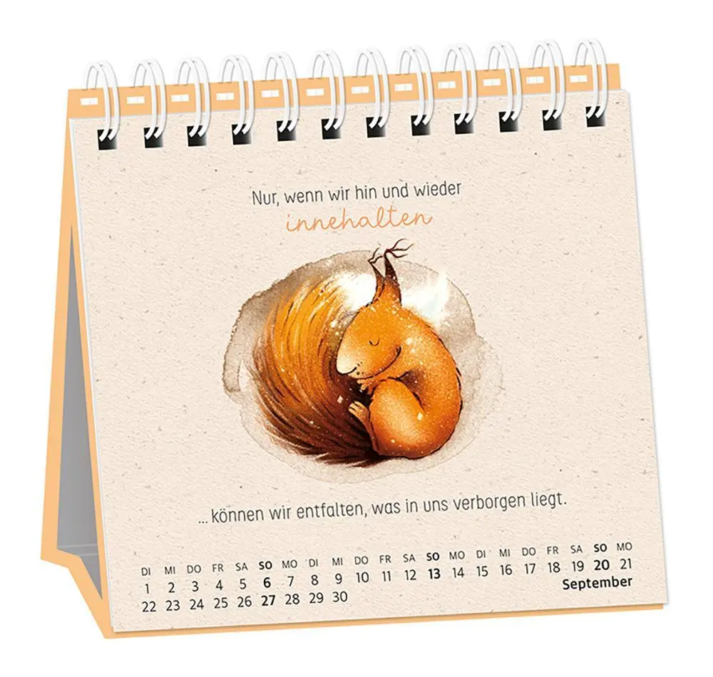 Bild: 9783986361686 | Tischkalender 2026 Heute. Hier. Jetzt | Tischkalender | Original