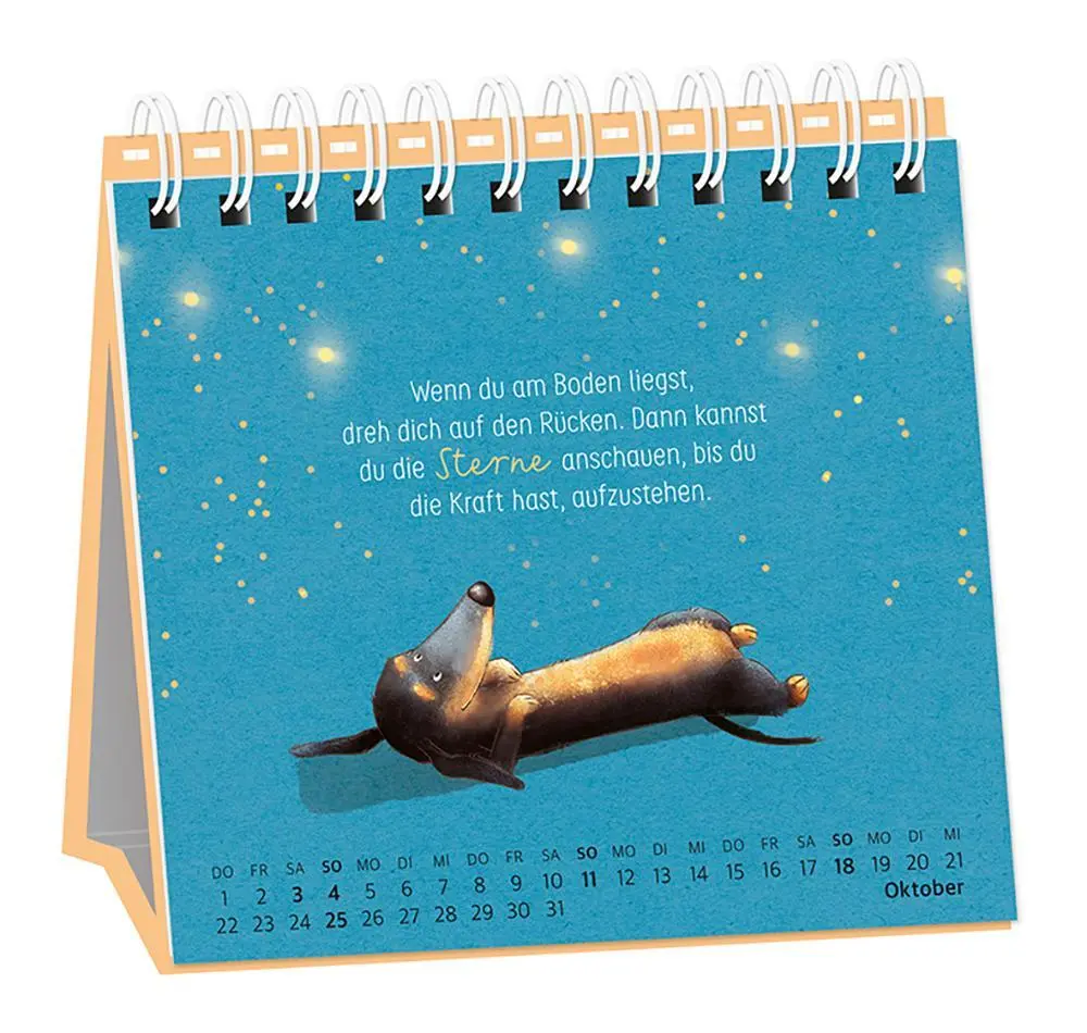Bild: 9783986361686 | Tischkalender 2026 Heute. Hier. Jetzt | Tischkalender | Original