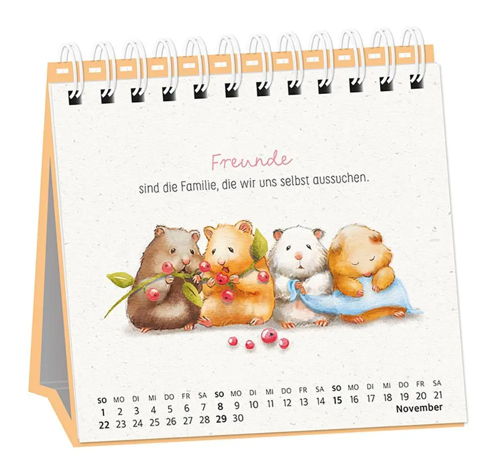 Bild: 9783986361686 | Tischkalender 2026 Heute. Hier. Jetzt | Tischkalender | Original