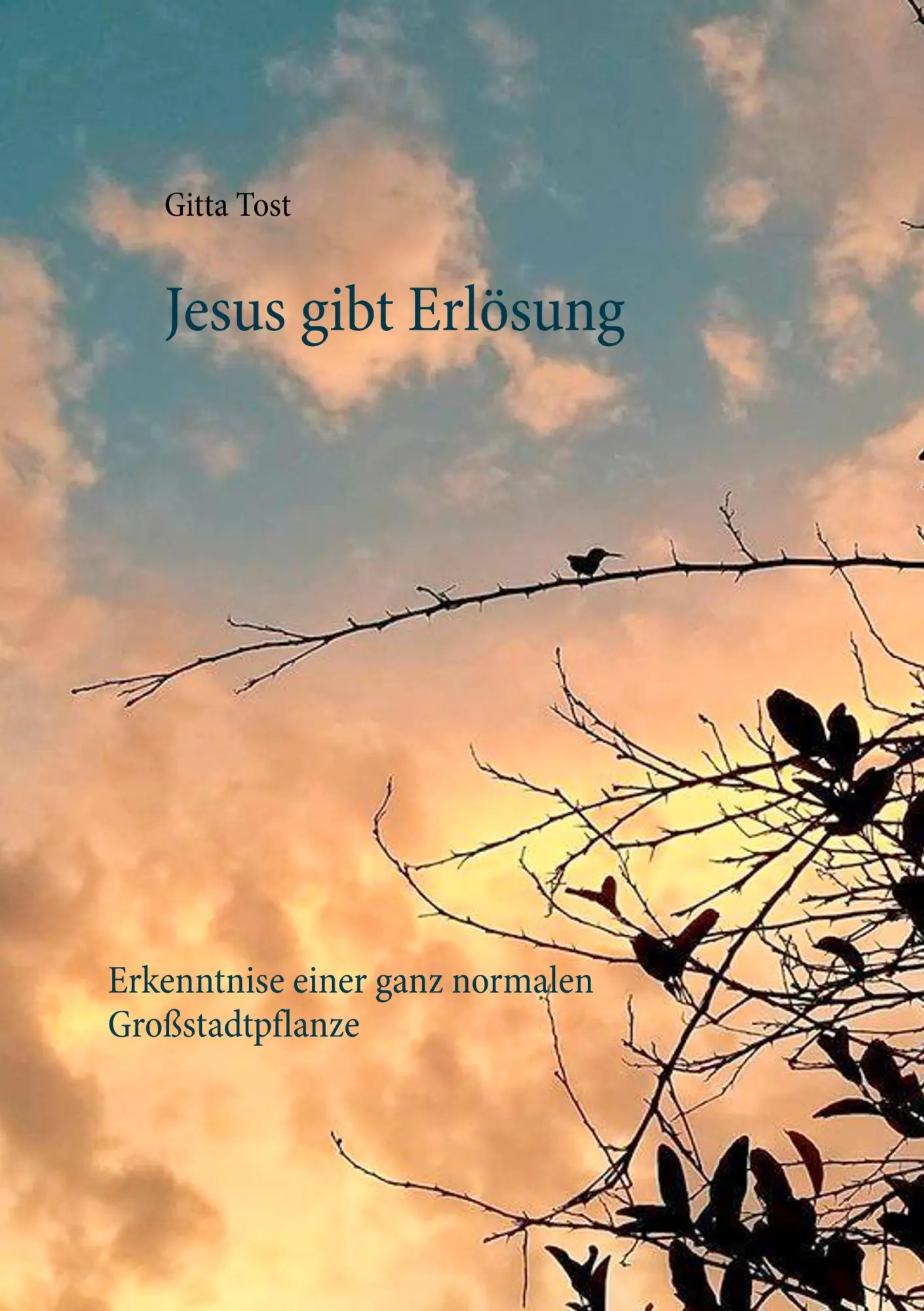 Cover: 9783746081786 | Jesus gibt Erlösung | Erkenntnise einer ganz normalen Großstadtpflanze