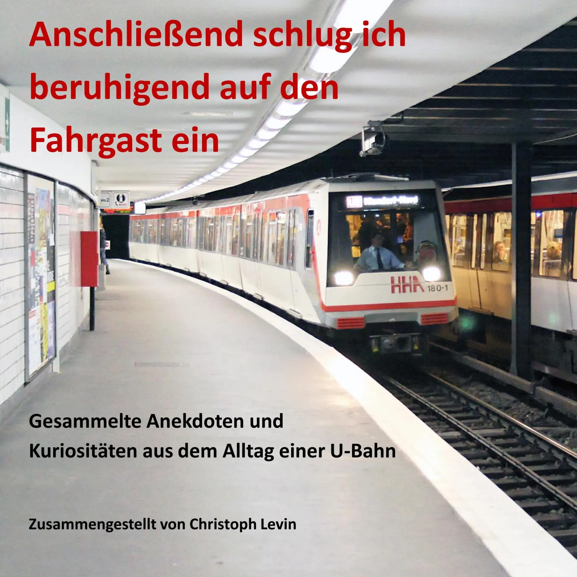 Cover: 9783748131786 | Anschließend schlug ich beruhigend auf den Fahrgast ein | Levin | Buch Cover: 9783748131786 | Anschließend schlug ich beruhigend auf den Fahrgast ein | Levin | Buch