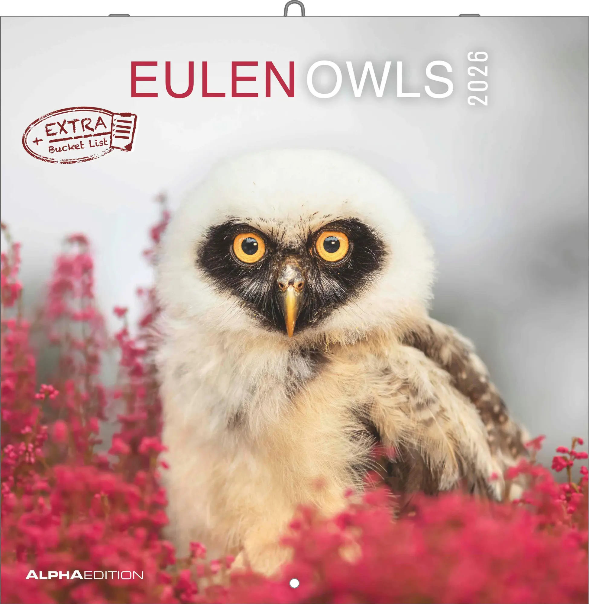 Cover: 4069095001886 | Alpha Edition - Eulen 2026 Broschürenkalender, 30x30cm,...