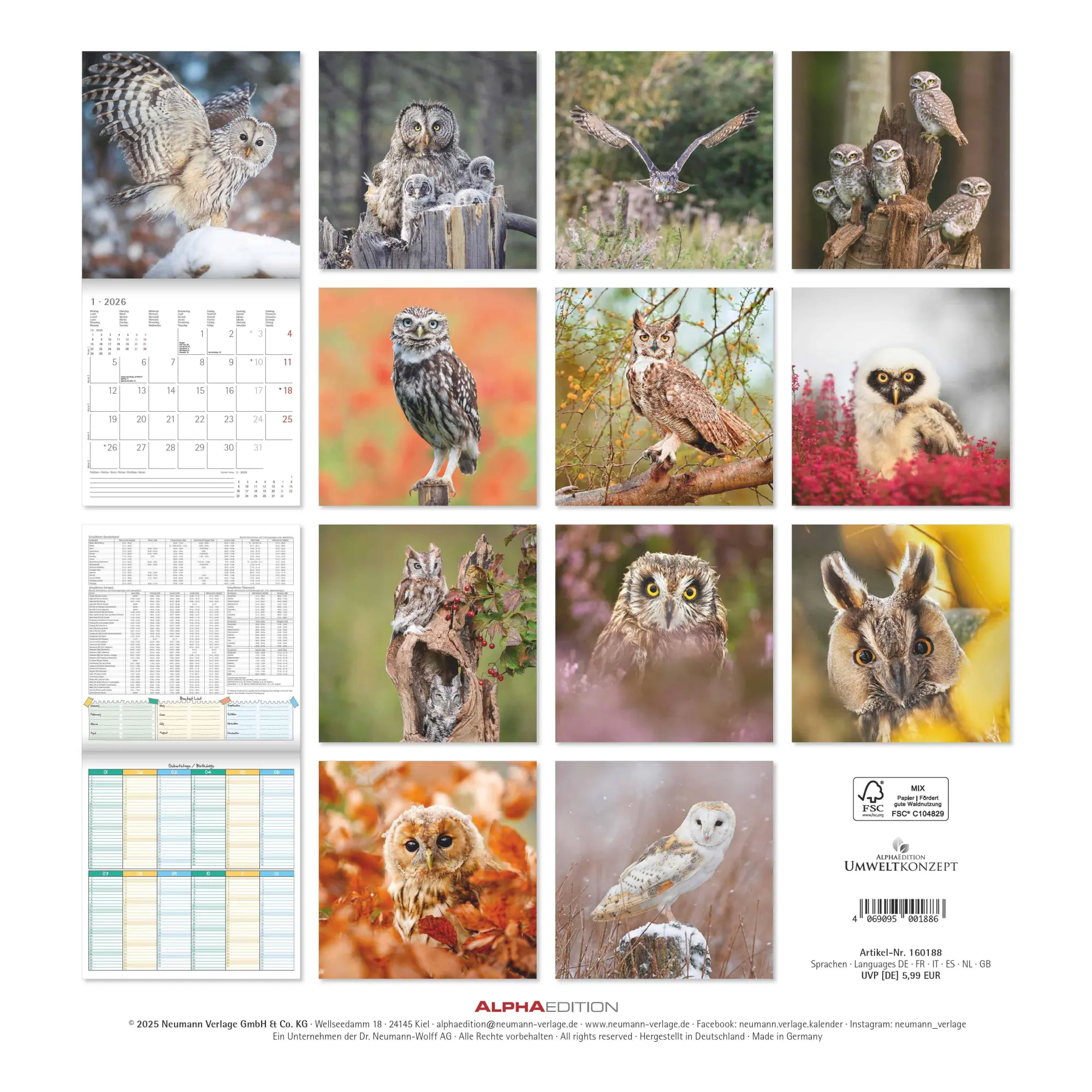 Rückseite: 4069095001886 | Alpha Edition - Eulen 2026 Broschürenkalender, 30x30cm,...