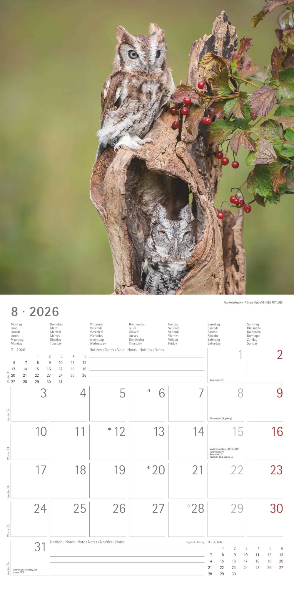 Bild: 4069095001886 | Alpha Edition - Eulen 2026 Broschürenkalender, 30x30cm,...