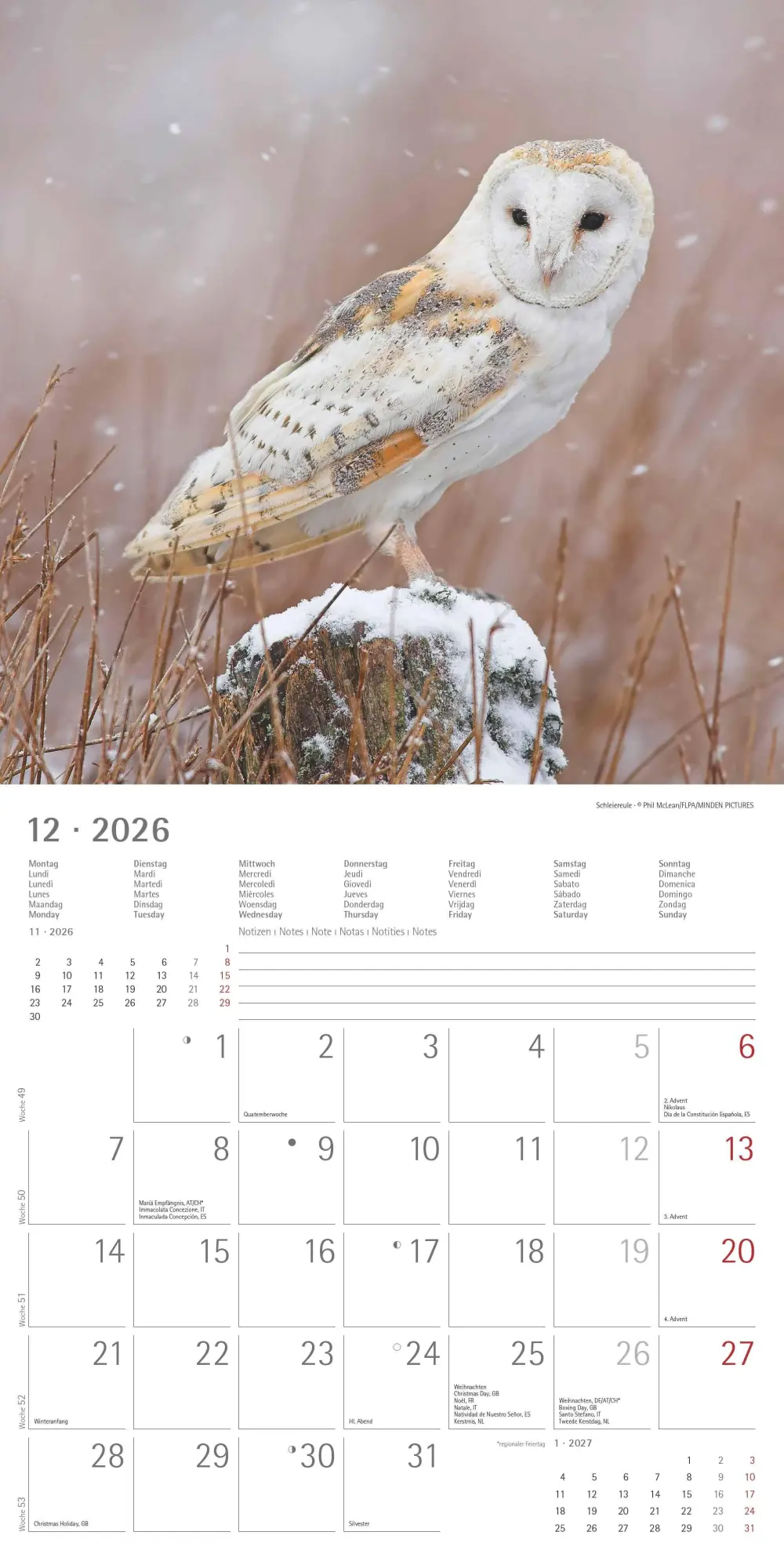 Bild: 4069095001886 | Alpha Edition - Eulen 2026 Broschürenkalender, 30x30cm,...