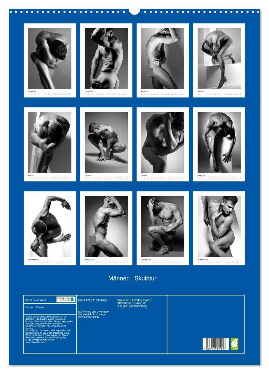 Bild: 9783516381986 | Männer... Skulptur (Wandkalender 2026 DIN A2 hoch), CALVENDO...
