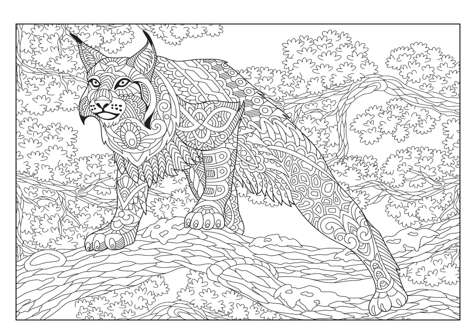 Bild: 9783986571986 | Mandala Malbuch Katzen für Kinder ab 8 Jahren, Teenager und...