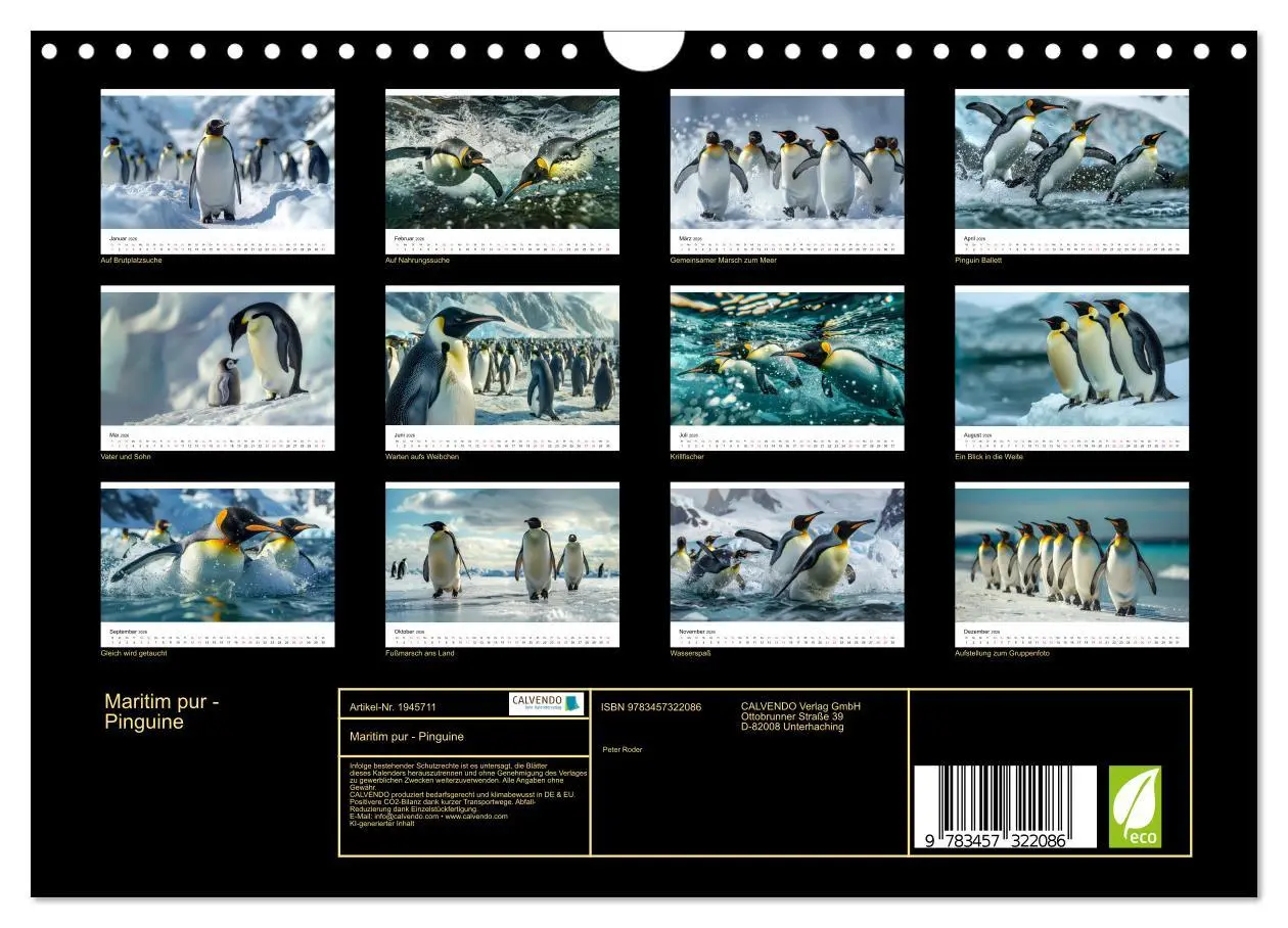 Bild: 9783457322086 | Maritim pur - Pinguine (Wandkalender 2026 DIN A4 quer), CALVENDO...