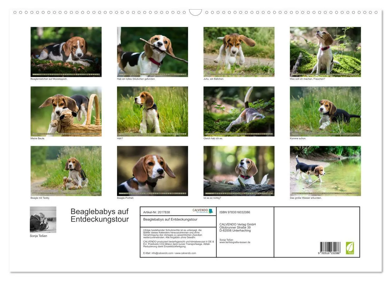 Bild: 9783516032086 | Beaglebabys auf Entdeckungstour (Wandkalender 2026 DIN A2 quer),...